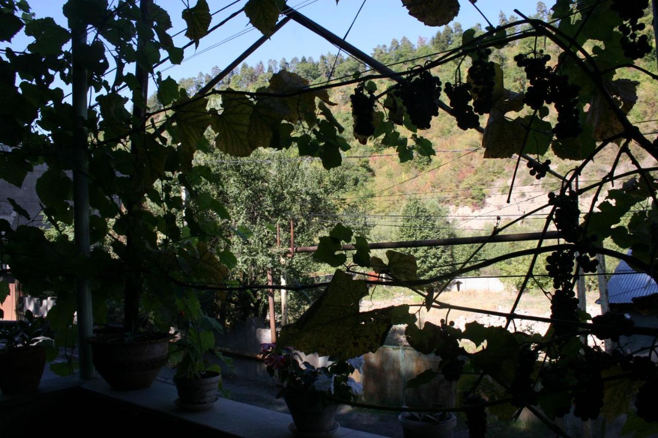 Guest House Nima Borjomi Exterior foto